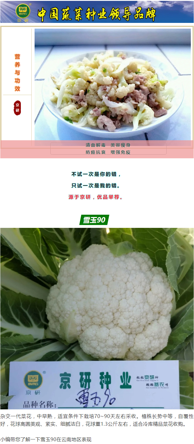 白如雪、碧似玉——雪玉90_01.jpg